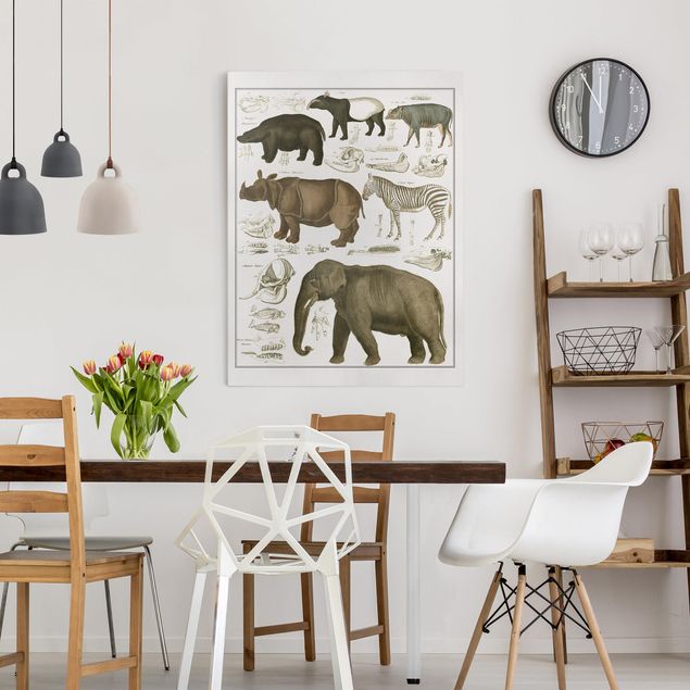 Canvas prints elefant Vintage Board Elephant, Zebra And Rhino