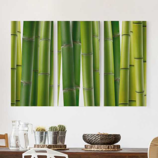 Kitchen Bamboo Plants