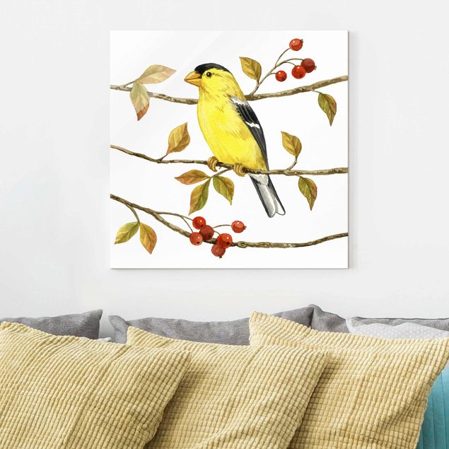Glass prints pieces Birds And Berries - American Goldfinch