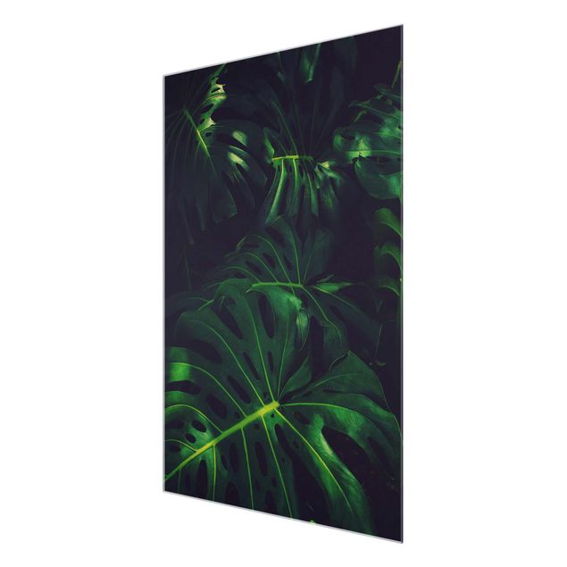 Floral picture Monstera Jungle
