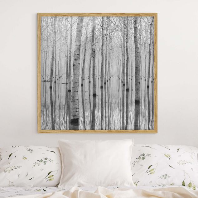 Landscape canvas prints Birches In November