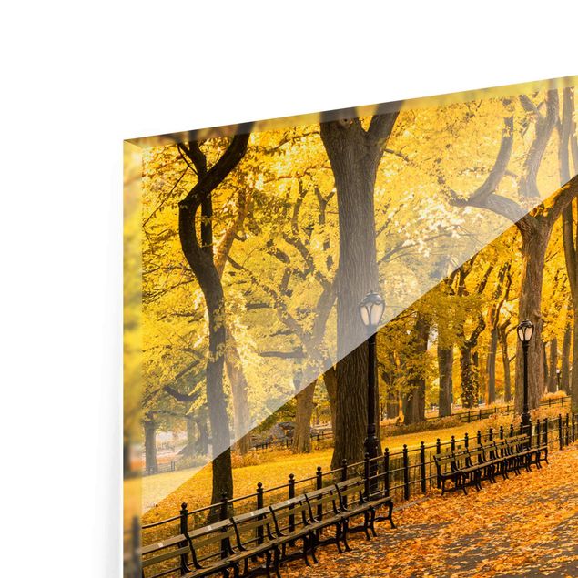 Orange art print Autumn In Central Park