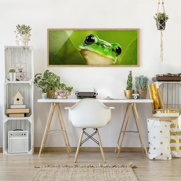 Modern art prints Frog
