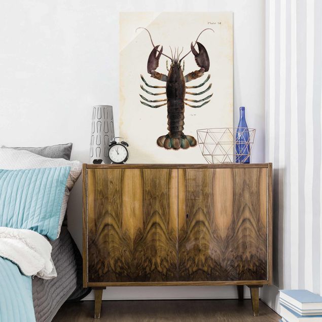 Glass prints pieces Vintage Illustration Lobster