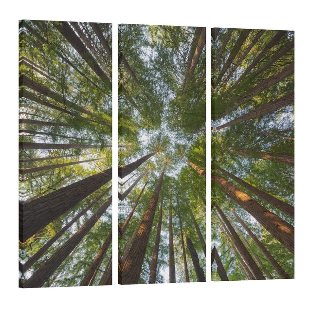 Tree print Sequoia Tree Tops