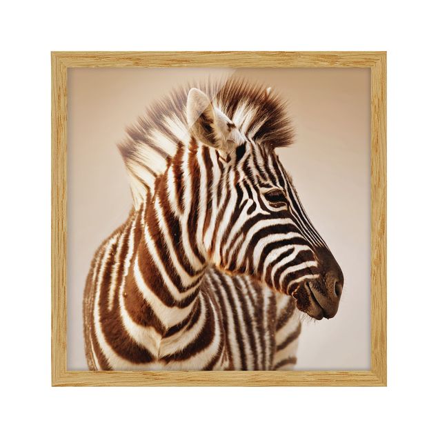 Abstract art prints Zebra Baby Portrait