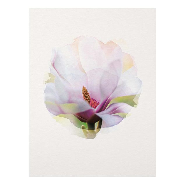 Prints flower WaterColours - Delicate Magnolia Blossom