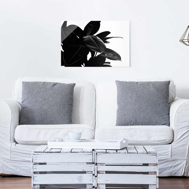 Glass prints black and white Rubber Tree Black And White