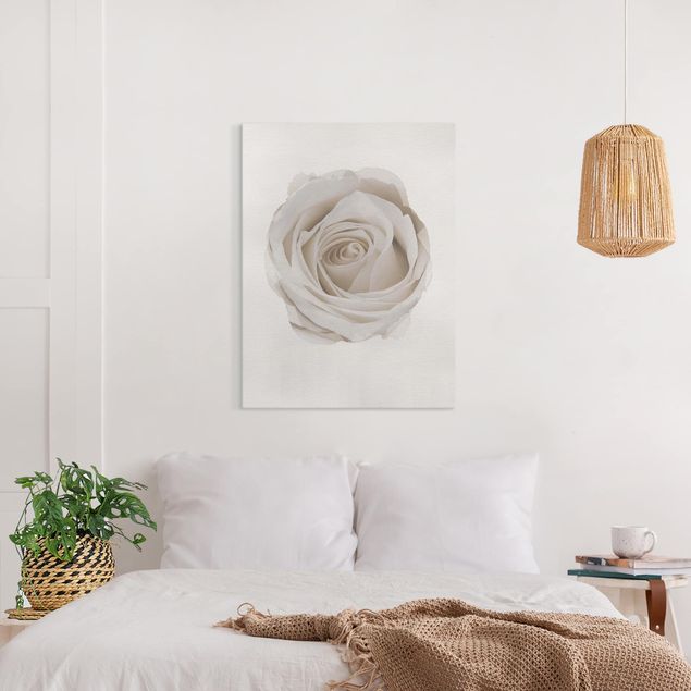 Floral canvas WaterColours - Pretty White Rose