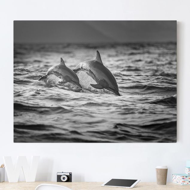 Canvas prints fishes Two Jumping Dolphins