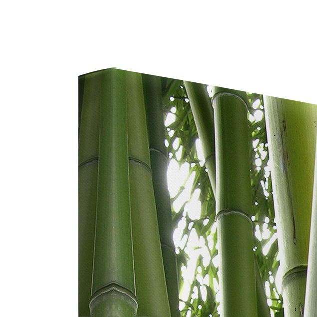 Canvas prints landscape Bamboo Trees