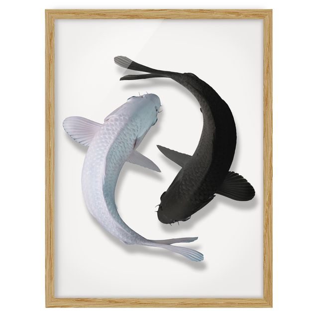 Prints animals Fish Ying Yang