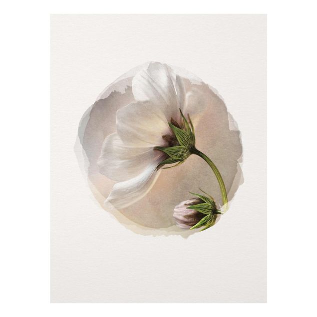 Prints flower WaterColours - Heavenly Blossoms
