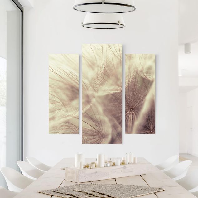 Canvas lion Detailed Dandelion Macro Shot With Vintage Blur Effect
