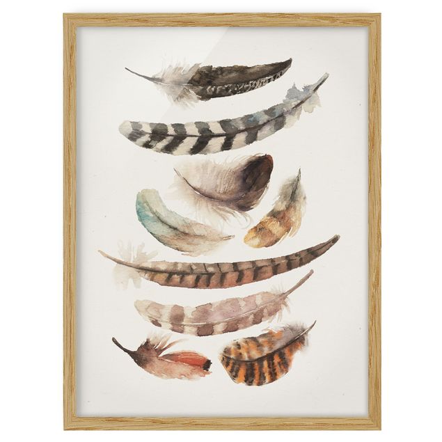 Shabby chic framed pictures Nine Feathers