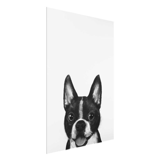 Glass prints black and white Illustration Dog Boston Black And White Painting