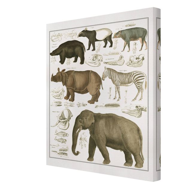 African canvas Vintage Board Elephant, Zebra And Rhino