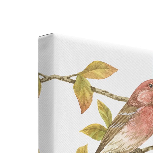Canvas wall art Birds And Berries Set I