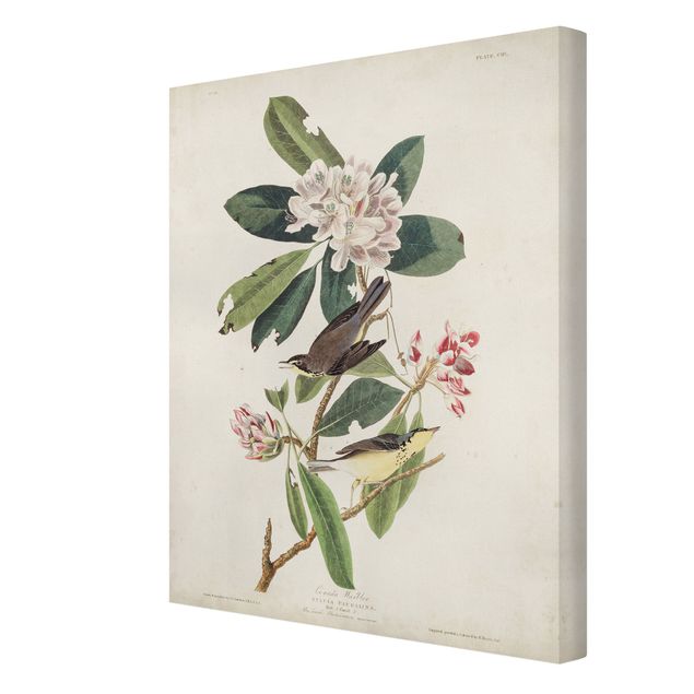 Flower print Vintage Board Warbler