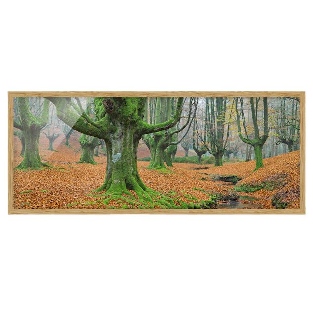 Prints modern Beech Forest In The Gorbea Natural Park In Spain