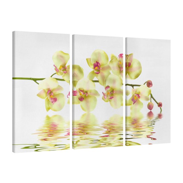 Prints floral Dreamy Orchid Waters