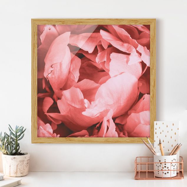 Kitchen Peony Blossom Coral