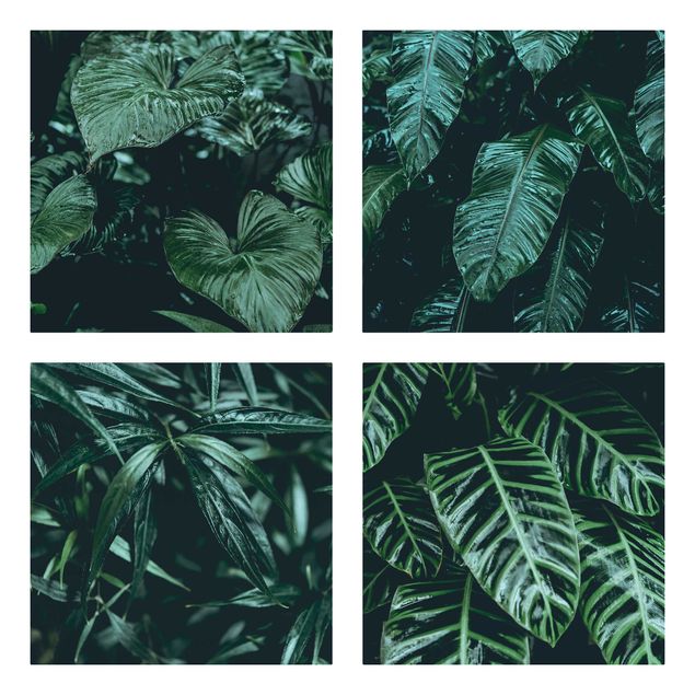 Contemporary art prints Tropical Plants