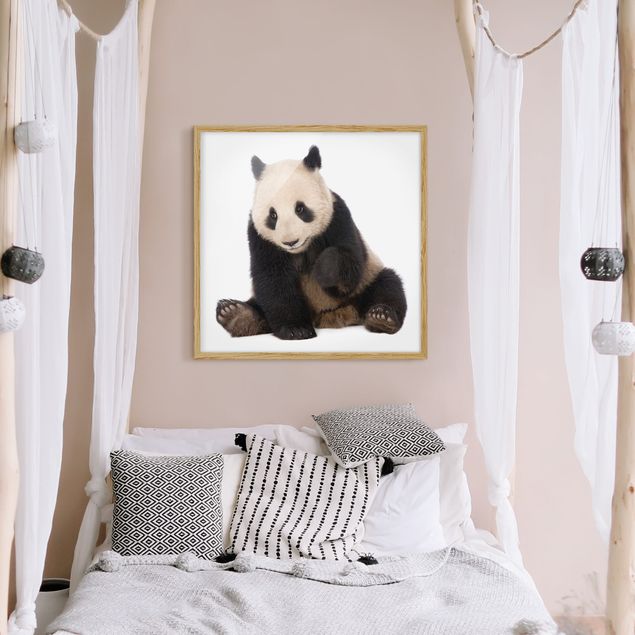 Animal wall art Panda Paws