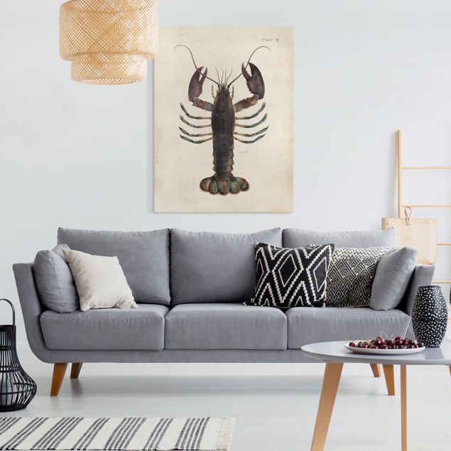 Prints animals Vintage Illustration Lobster