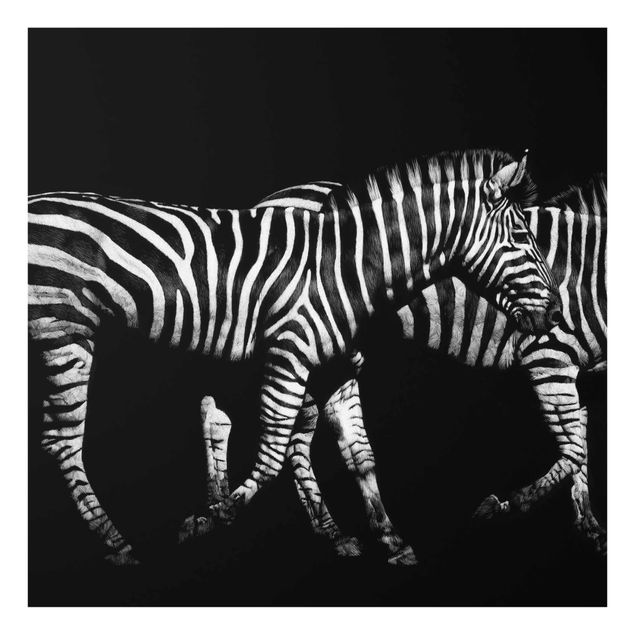 Animal wall art Zebra In The Dark