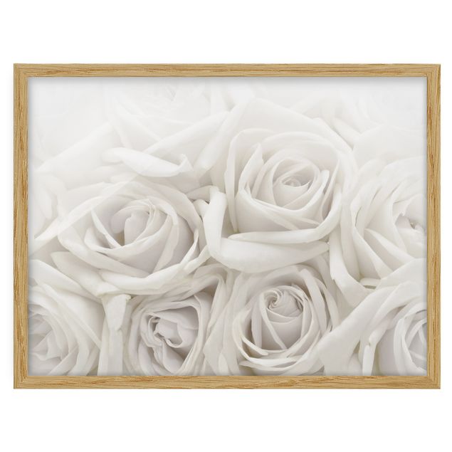 Flower pictures framed White Roses