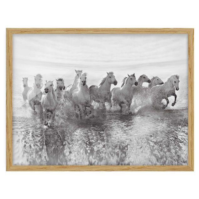 Horse canvas White Horses In The Ocean