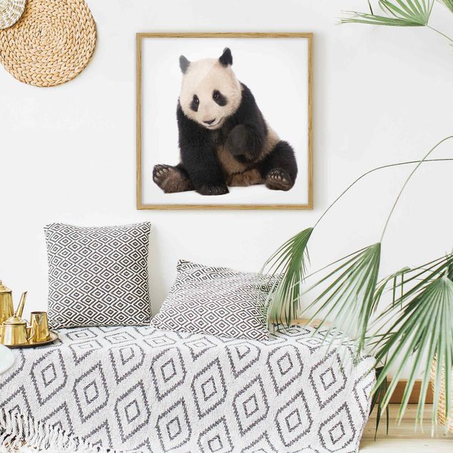 Panda art print Panda Paws