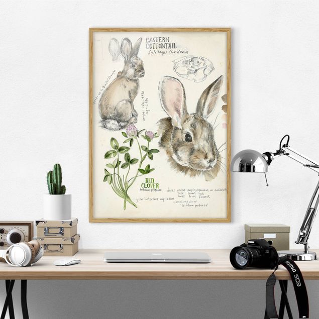 Animal canvas Wilderness Journal - Rabbit