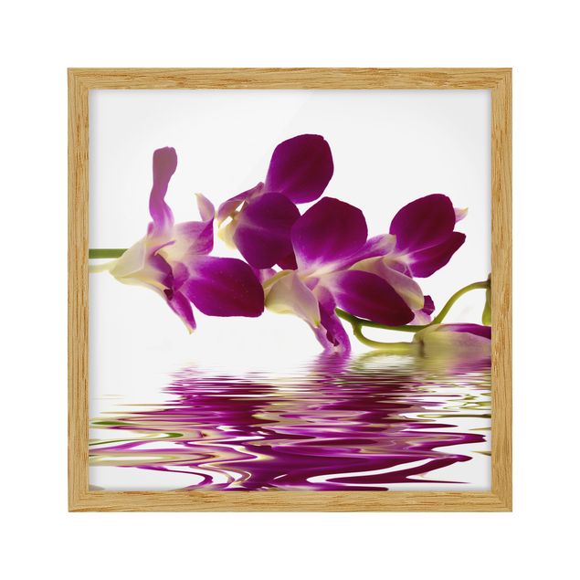 Floral prints Pink Orchid Waters