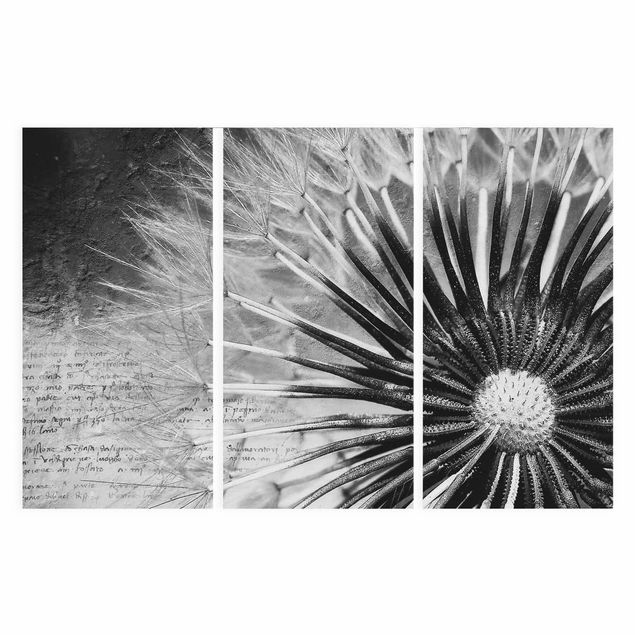 Canvas black and white Dandelion Black & White