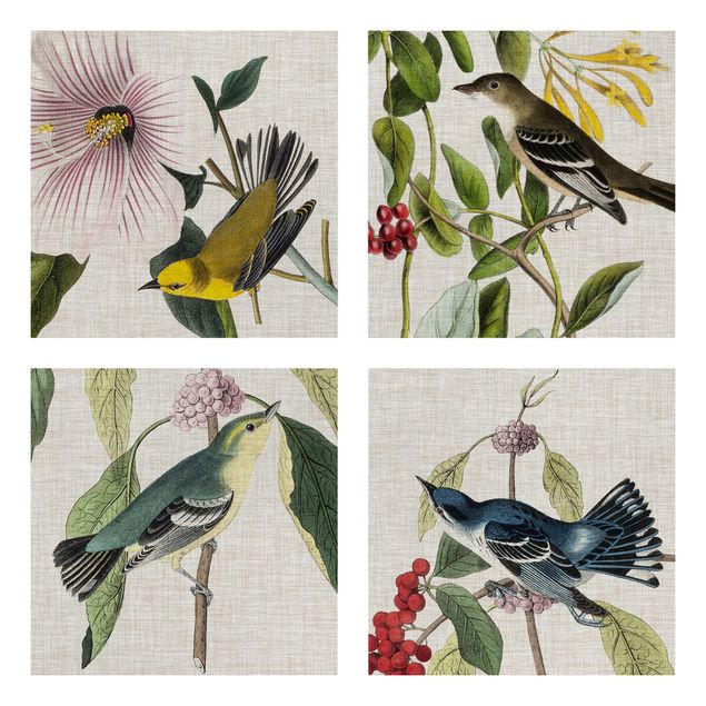 Animal canvas Birds On Linen Set II