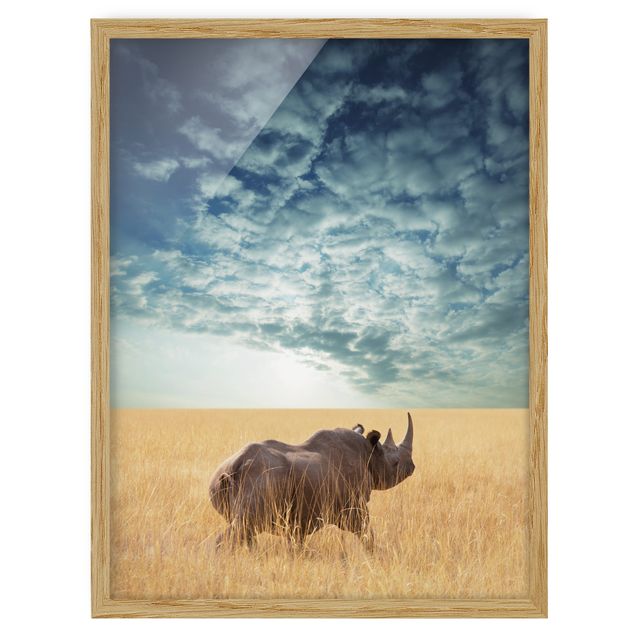 Modern art prints Rhino In The Savannah