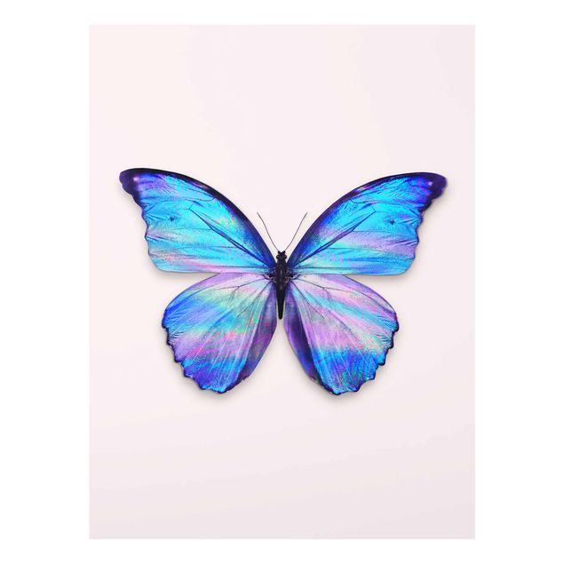 Glass prints pieces Holographic Butterfly