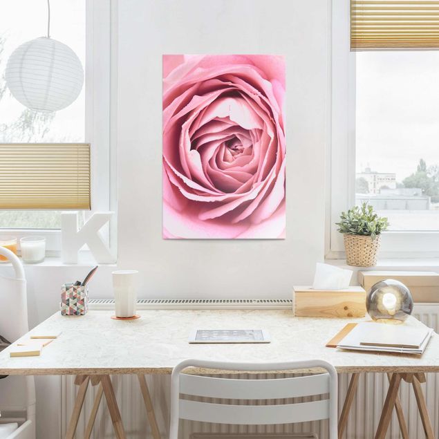 Glass prints rose Pink Rose Blossom