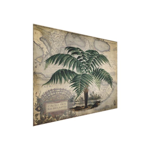 Vintage wall art Vintage Collage - Palm And World Map