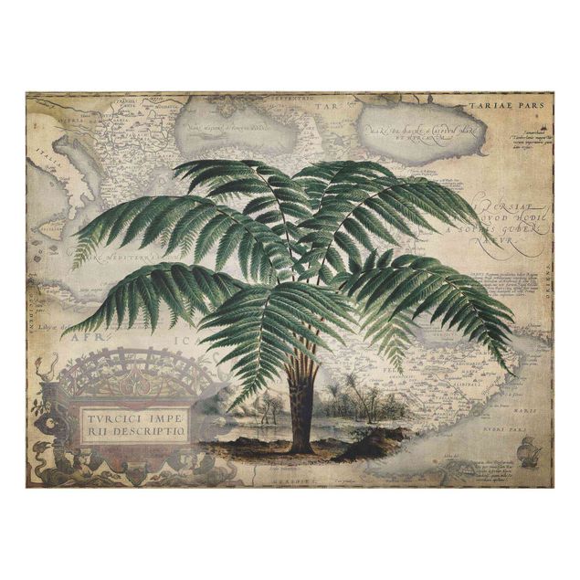 Floral canvas Vintage Collage - Palm And World Map