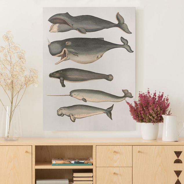 Canvas prints fishes Five Vintage Whales