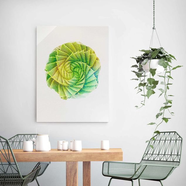 Glass prints flower WaterColours - Spiral Aloe