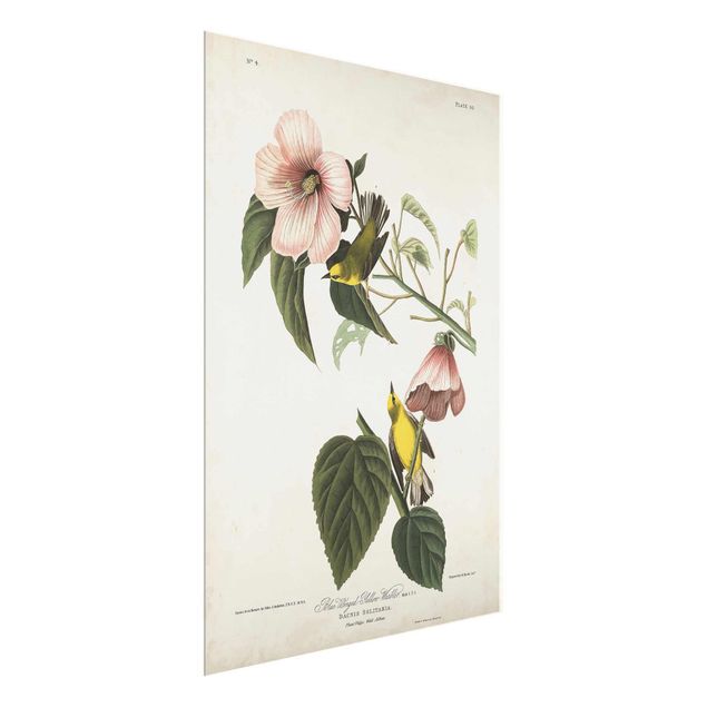 Floral prints Vintage Board Warbler II