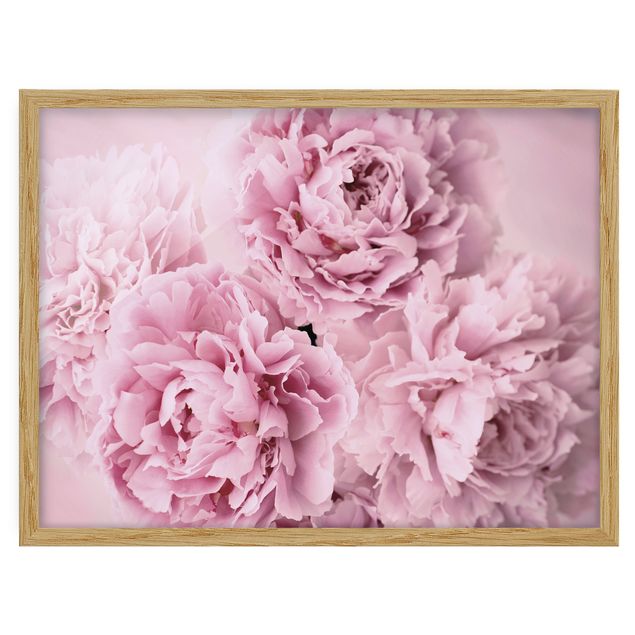 Flowers framed Pink Peonies