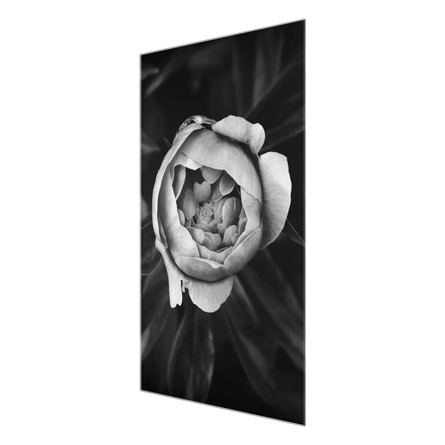 Flower print Peonies In Front Of Leaves Black And White