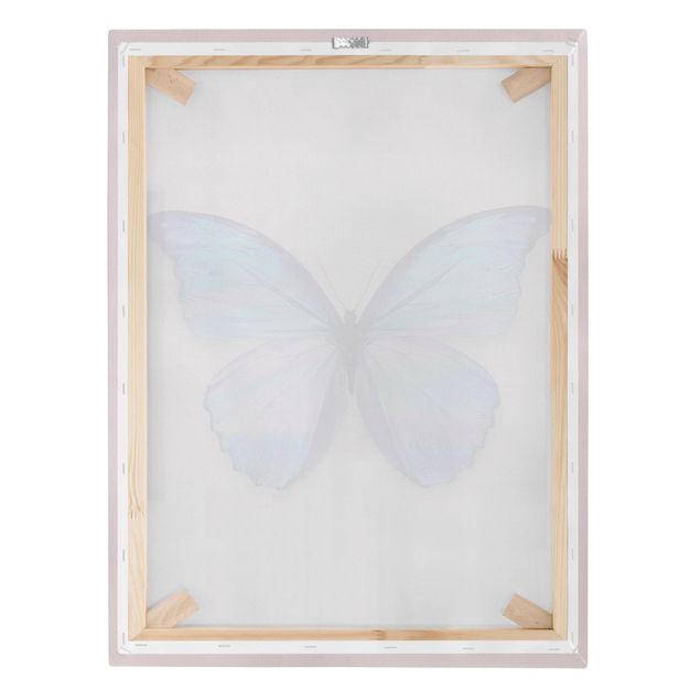 Animal wall art Holographic Butterfly