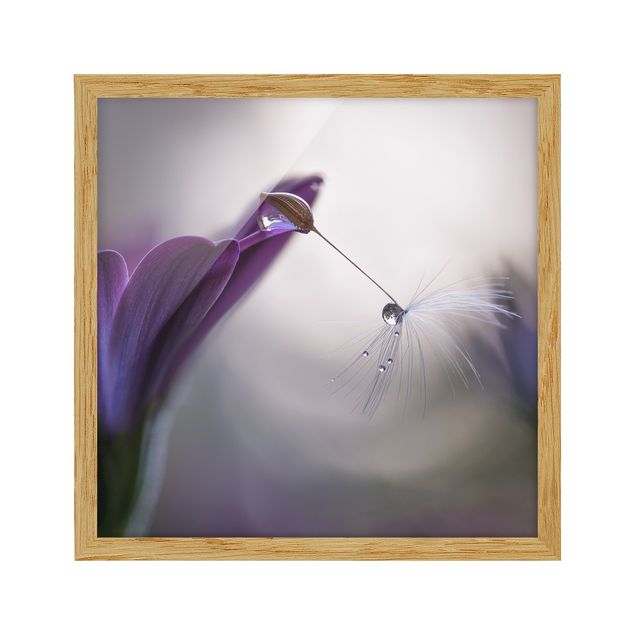 Flower pictures framed Purple Rain