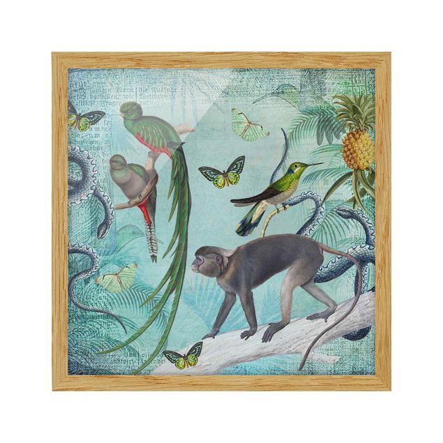 Animal wall art Colonial Style Collage - Monkeys And Birds Of Paradise